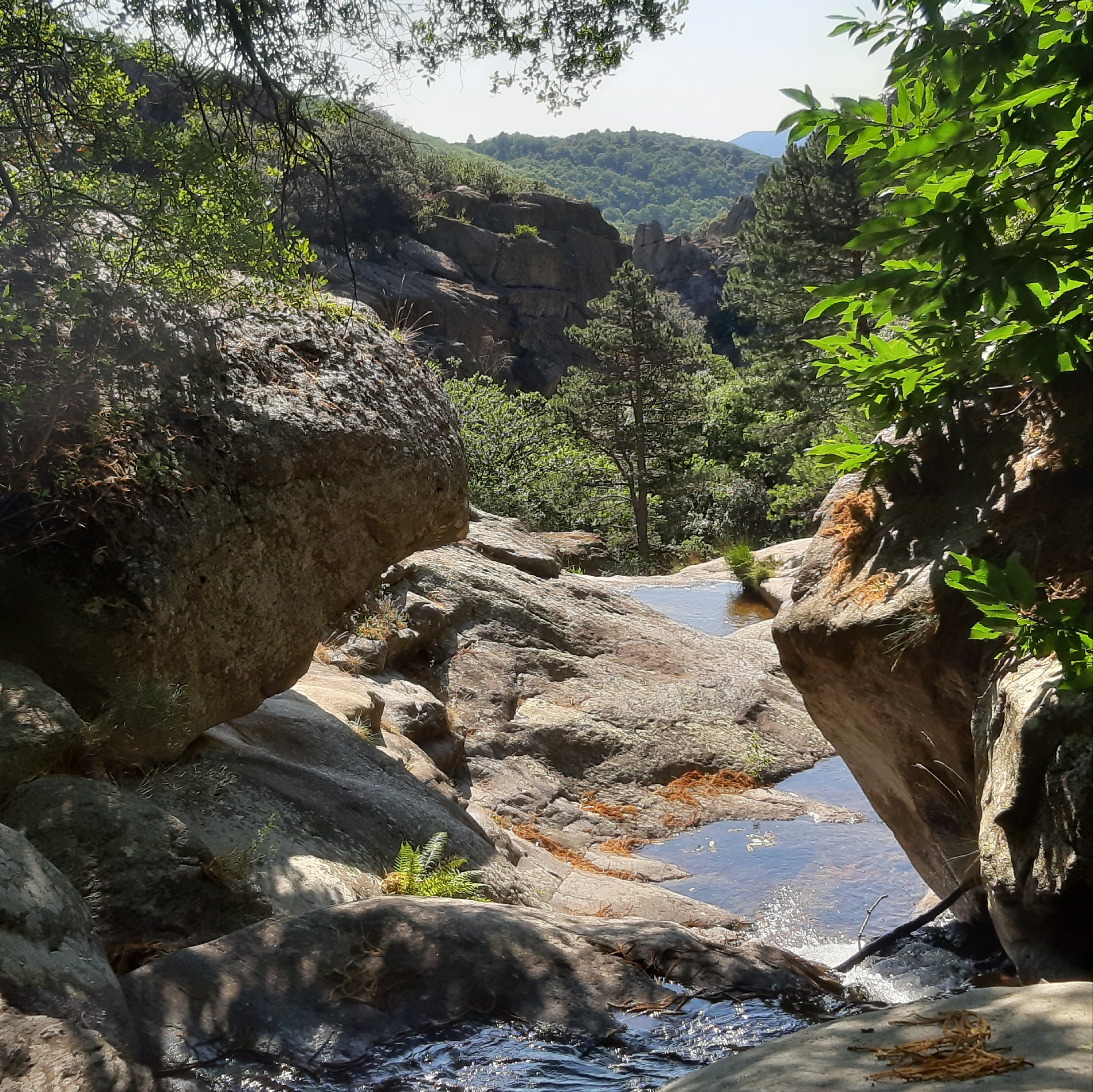 la vérité est éternelle
