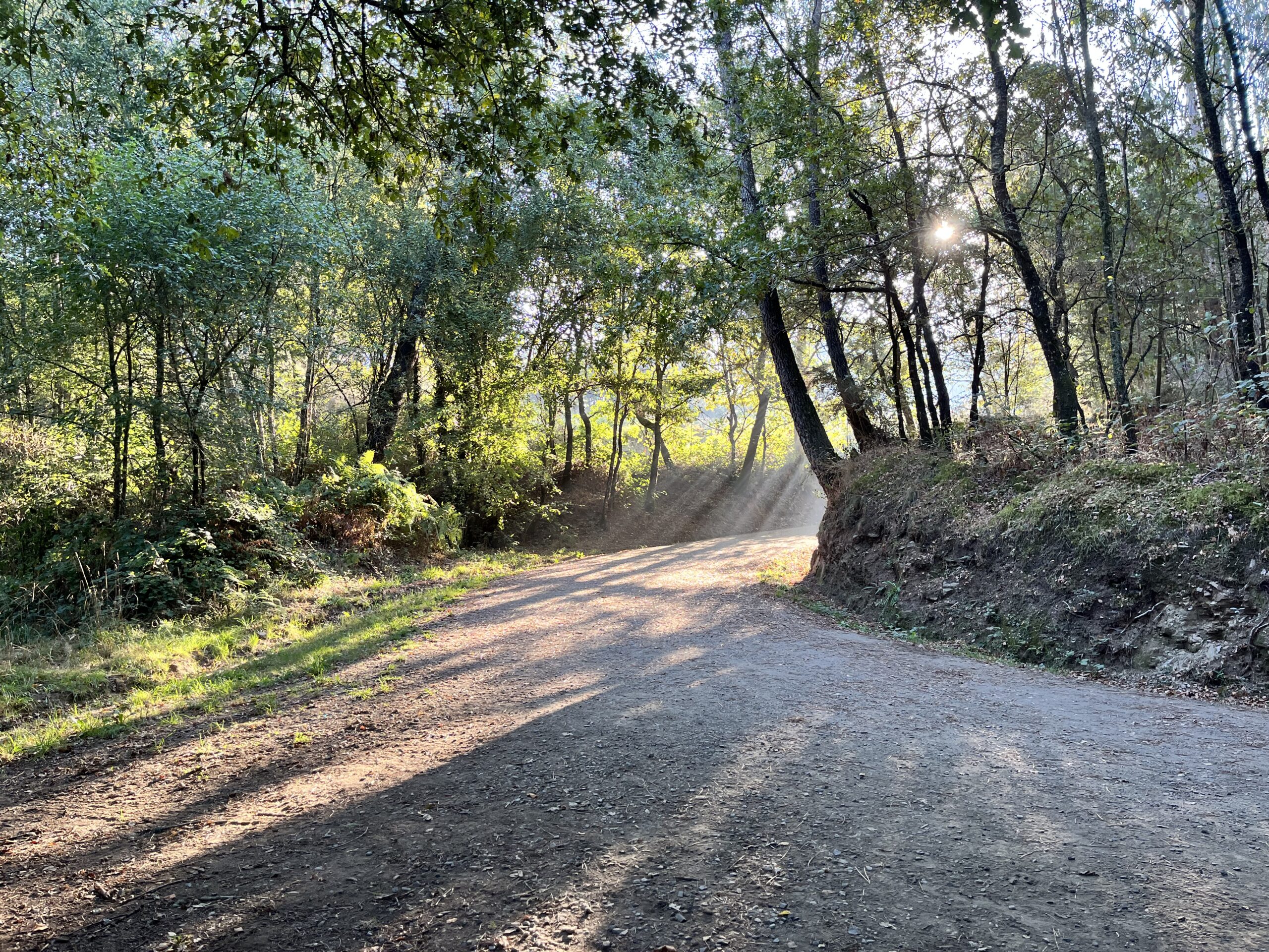 Walk and Talk - La qualité et l'excellence